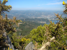 Vistas de Castrelo desde Coto Novelle