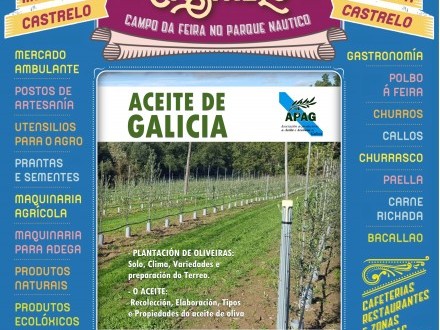 Feira de Castrelo: Aceite de Galicia