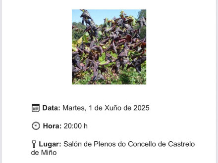 CHARLA INFORMATIVA