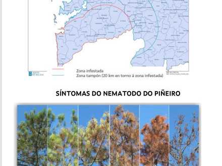 AVISO IMPORTANTE!!
