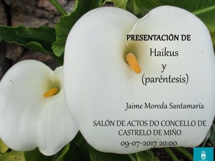 Presentacin do poemario Haikus y (parntesis) de Jaime Moreda Santamara