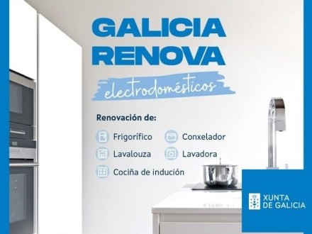 GALICIA RENOVA ELECTRODOMÉSTICOS (Plan Renove)