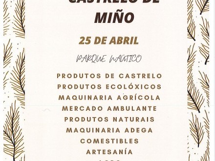 Feira 25 de abril